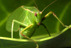 101365.jpg